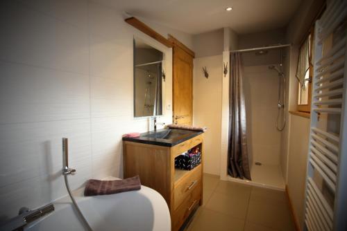 Chalet 10 Pers Aux Carroz (ch719)