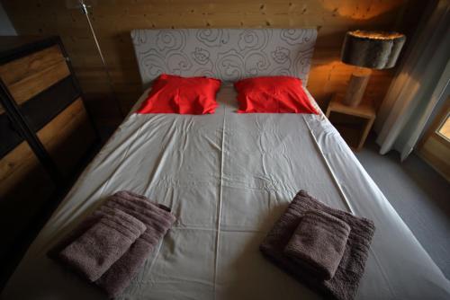 Chalet 10 Pers Aux Carroz (ch719)
