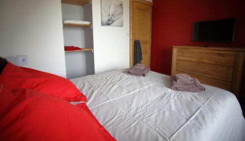 Chalet 10 Pers Aux Carroz (ch719)