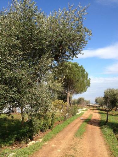 Trulli San Pietro