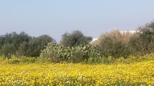 Apartamento Casa Arcobaleno