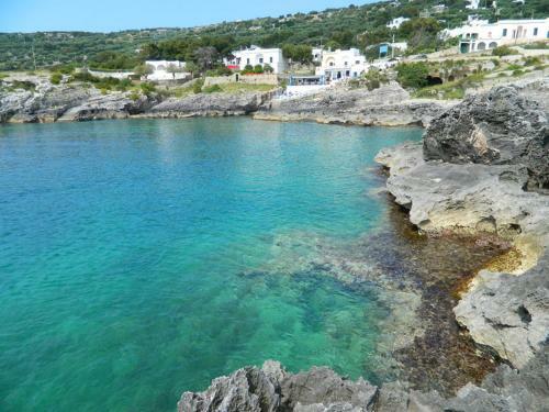 Apartamento Villa Puce