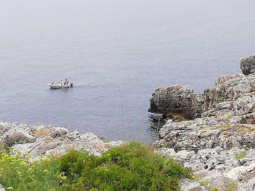Apartamento Villa Puce