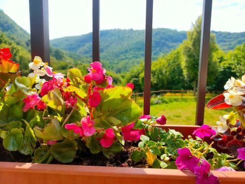 Villa Sulle Colline Toscane Con Piscina