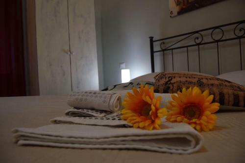 Hostal Segui Le Note Della Tua Vita