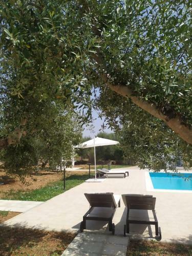 Bed & Breakfast Dimora Pianelle