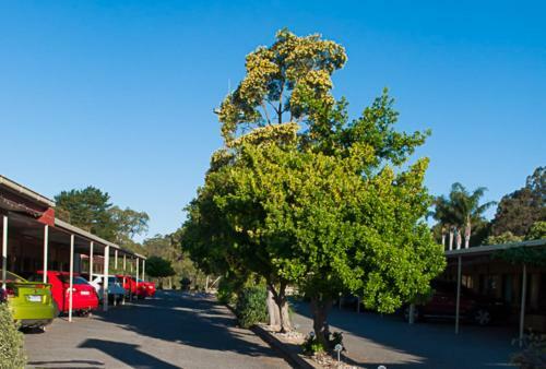 The Vineyards Motel