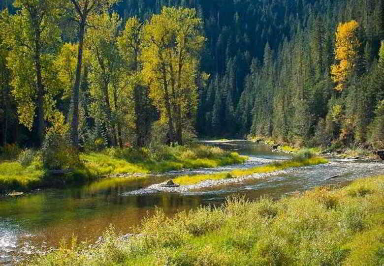 Hotel Springhill Suites Coeur D'alene