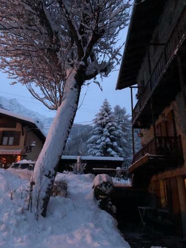 Apartamento Casa Dolonne - A Un Passo Dallo Sci