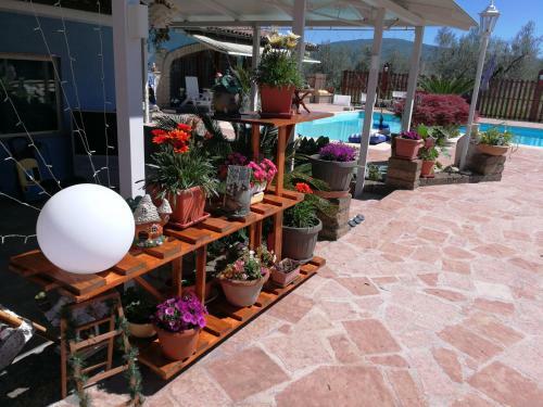 Bed & Breakfast Villa Eb
