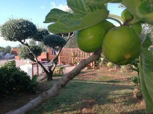 Bed & Breakfast Villa Eb