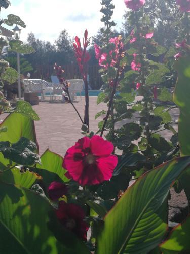 Bed & Breakfast Villa Eb