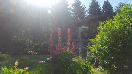 Apartamento Chalet Blanc " Premier "