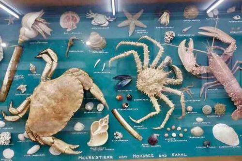 Apartamento Sospeso Fra Cielo E Mare