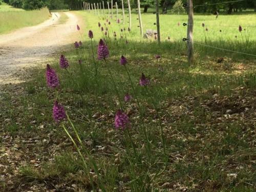 G�te Azerat, 4 Pi�ces, 6 Personnes - Fr-1-616-138
