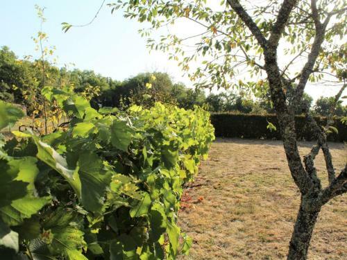G�te Azerat, 4 Pi�ces, 6 Personnes - Fr-1-616-138