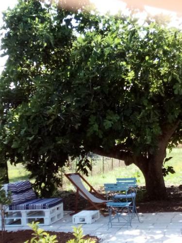 Bed & Breakfast I Fichi Bianchi