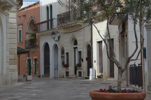Bed & Breakfast Il Vecchio Ulivo