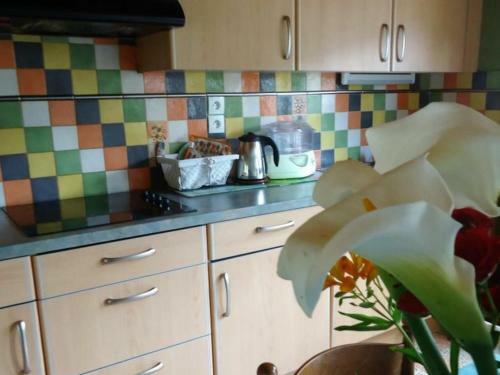 G�te Bais, 4 Pi�ces, 6 Personnes - Fr-1-600-19