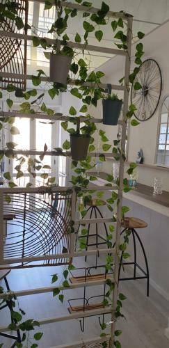 Bed & Breakfast Dame Crotone