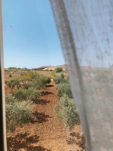 Apartamento Terra Di Suli