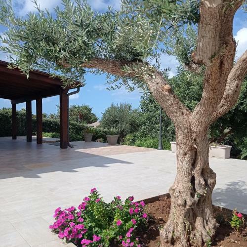 Villa Dei Colori