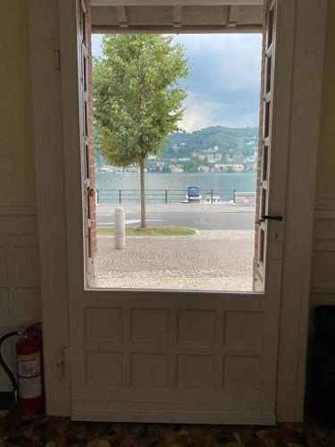 Lake View 9