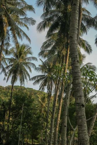 Hotel Lendang Eco Lodge