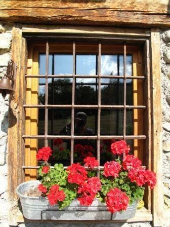 Bed & Breakfast La Fernande