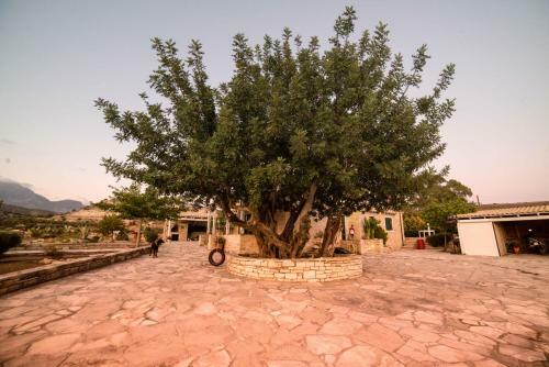 Carob Villa