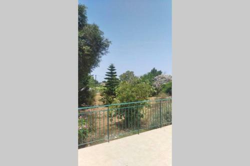 The Green House Down Town Preveza