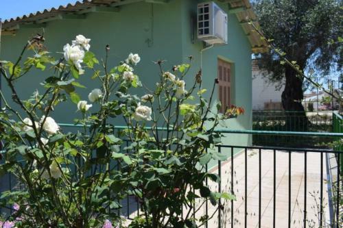The Green House Down Town Preveza