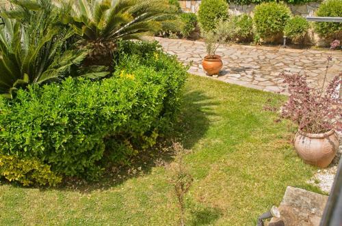 Apartamento Amalias Place