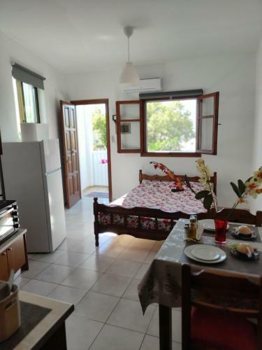 S.drosos Apartment