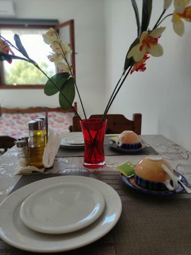 S.drosos Apartment