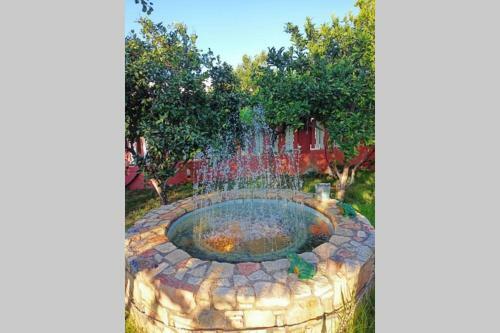 Fruit Garden Apartments