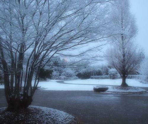 Hostal Guest House Third Place