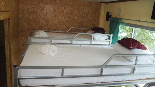 Albergue Chaokoh Phi Phi Resort And Dorm Room