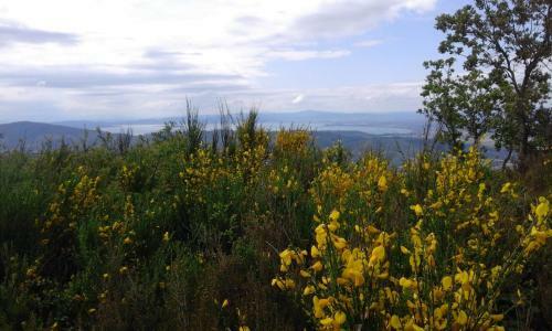 La Casa Gialla Belvedere