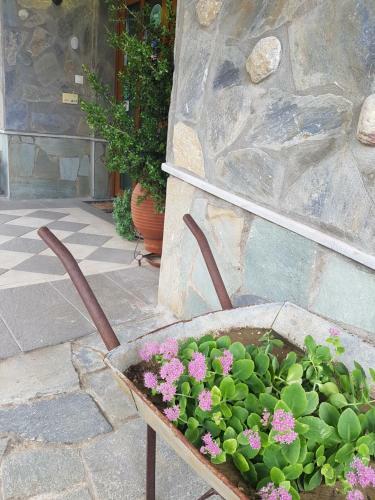 Hotel Metoxi