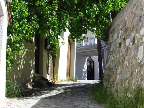 Spili Lions Apartment, Spili - Rethymno