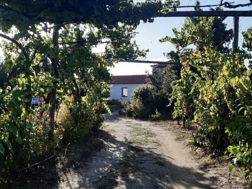 Casa Do Casal Em Resende Com Vista Para O Rio Douro