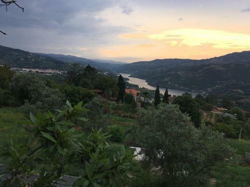 Casa Do Casal Em Resende Com Vista Para O Rio Douro