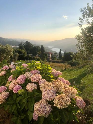 Casa Do Casal Em Resende Com Vista Para O Rio Douro