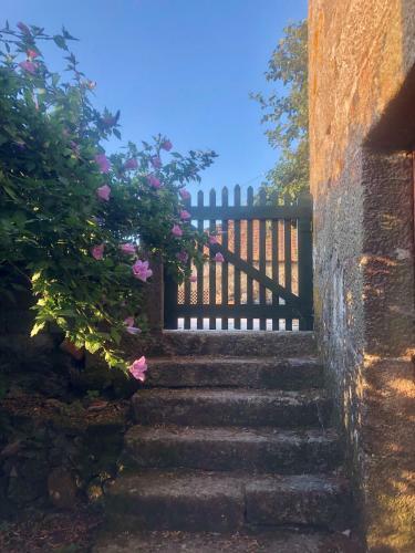 Casa Do Casal Em Resende Com Vista Para O Rio Douro