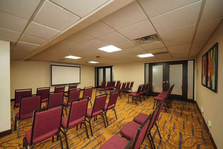 Holiday Inn Hotel & Suites Chicago-carol Stream/wheaton