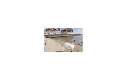 Apartment �sters�vej