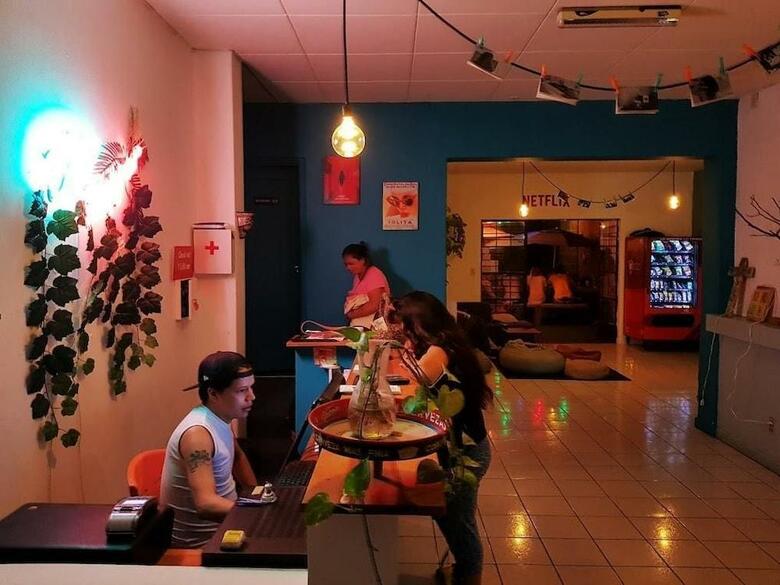 Blue Pepper Hostel Chapultepec