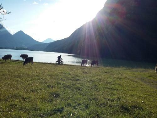 Hostal Spirit & Soul - Die Wohlf�hlpension