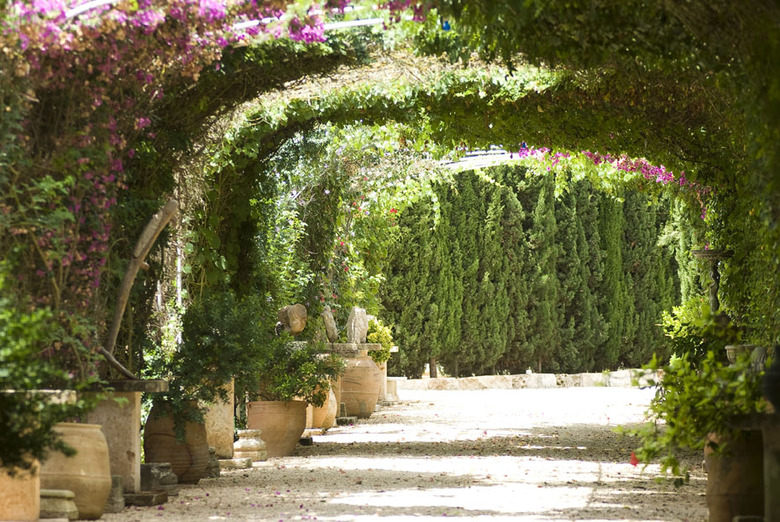 Agroturismo Es Revellar Art Resort